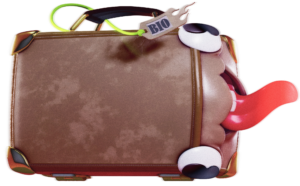 chozoo valise
